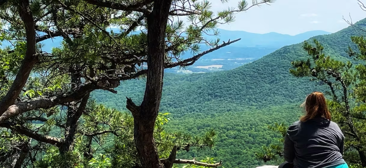 GEORGE WASHINGTON AND JEFFERSON NATIONAL FOREST Traveler Tales: Exploring our Nation's National Forests